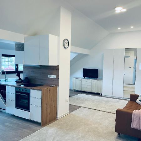 Villa Kovaceva 15, App 2, Free Parking Ljubljana Ngoại thất bức ảnh